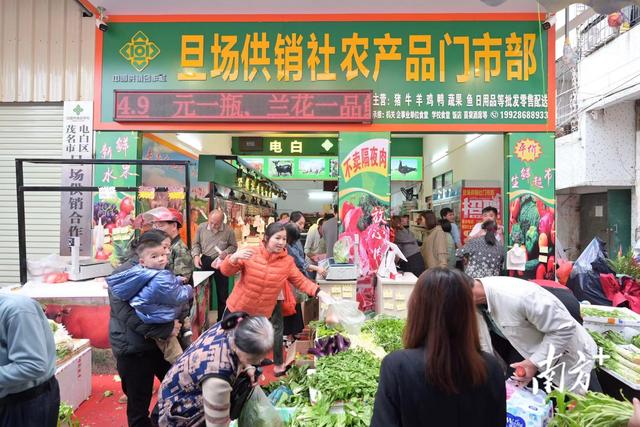 平價新鮮，從田間到餐桌——茂名電白供銷系統打造不隔夜生鮮超市